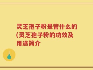 灵芝孢子粉是管什么的(灵芝孢子粉的功效及用途简介