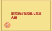 采灵芝的农民图片高清大图