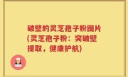 破壁的灵芝孢子粉图片(灵芝孢子粉：突破壁提取，健康护航)