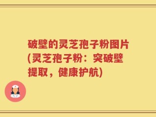 破壁的灵芝孢子粉图片(灵芝孢子粉：突破壁提取，健康护航)