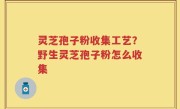 灵芝孢子粉收集工艺？野生灵芝孢子粉怎么收集
