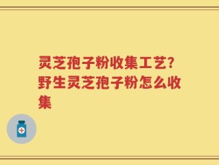 灵芝孢子粉收集工艺？野生灵芝孢子粉怎么收集