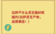 拉萨产什么灵芝最好呢图片(拉萨灵芝产地，品质最佳！)