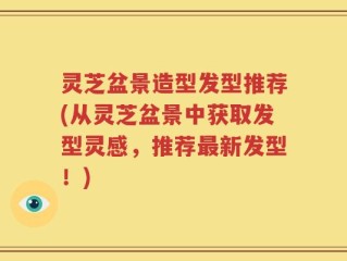 灵芝盆景造型发型推荐(从灵芝盆景中获取发型灵感，推荐最新发型！)