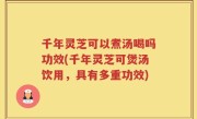 千年灵芝可以煮汤喝吗功效(千年灵芝可煲汤饮用，具有多重功效)