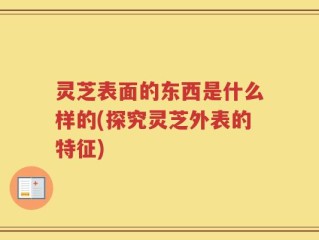 灵芝表面的东西是什么样的(探究灵芝外表的特征)