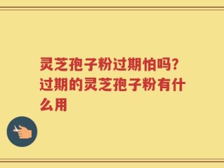 灵芝孢子粉过期怕吗？过期的灵芝孢子粉有什么用