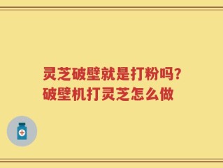 灵芝破壁就是打粉吗？破壁机打灵芝怎么做