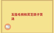 五指毛桃和灵芝鸽子煲汤