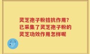 灵芝孢子粉拮抗作用？已采集了灵芝孢子粉的灵芝功效作用怎样呢