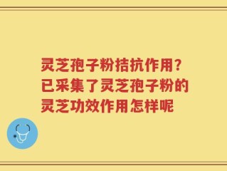 灵芝孢子粉拮抗作用？已采集了灵芝孢子粉的灵芝功效作用怎样呢