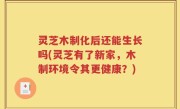 灵芝木制化后还能生长吗(灵芝有了新家，木制环境令其更健康？)