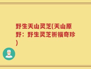 野生天山灵芝(天山原野：野生灵芝祈福奇珍)
