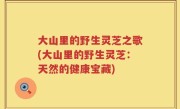 大山里的野生灵芝之歌(大山里的野生灵芝：天然的健康宝藏)