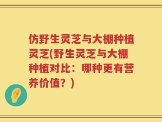 仿野生灵芝与大棚种植灵芝(野生灵芝与大棚种植对比：哪种更有营养价值？)