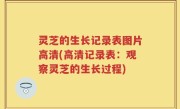 灵芝的生长记录表图片高清(高清记录表：观察灵芝的生长过程)