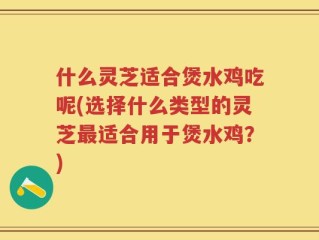 什么灵芝适合煲水鸡吃呢(选择什么类型的灵芝最适合用于煲水鸡？)