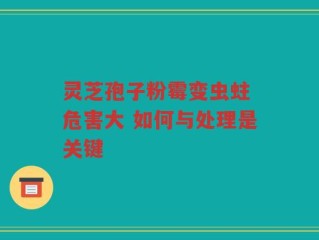 灵芝孢子粉霉变虫蛀 危害大 如何与处理是关键
