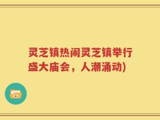 灵芝镇热闹灵芝镇举行盛大庙会，人潮涌动)