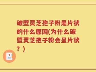 破壁灵芝孢子粉是片状的什么原因(为什么破壁灵芝孢子粉会呈片状？)