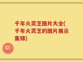 千年火灵芝图片大全(千年火灵芝的图片展示集锦)