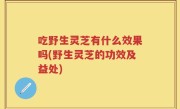 吃野生灵芝有什么效果吗(野生灵芝的功效及益处)