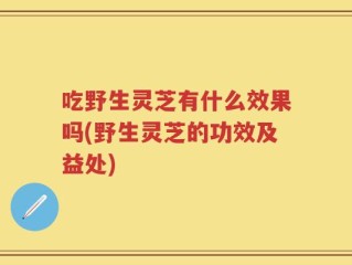 吃野生灵芝有什么效果吗(野生灵芝的功效及益处)