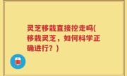 灵芝移栽直接挖走吗(移栽灵芝，如何科学正确进行？)