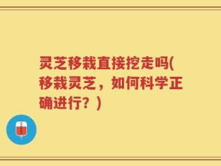 灵芝移栽直接挖走吗(移栽灵芝，如何科学正确进行？)
