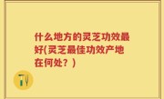 什么地方的灵芝功效最好(灵芝最佳功效产地在何处？)