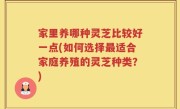 家里养哪种灵芝比较好一点(如何选择最适合家庭养殖的灵芝种类？)
