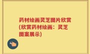 药材绘画灵芝图片欣赏(欣赏药材绘画：灵芝图案展示)