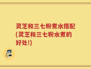 灵芝和三七粉煮水搭配(灵芝和三七粉水煮的好处!)