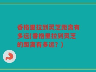 香格里拉到灵芝距离有多远(香格里拉到灵芝的距离有多远？)