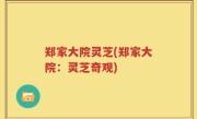 郑家大院灵芝(郑家大院：灵芝奇观)