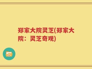 郑家大院灵芝(郑家大院：灵芝奇观)