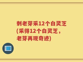 刺老芽采12个白灵芝(采得12个白灵芝，老芽再现奇迹)