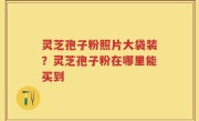 灵芝孢子粉照片大袋装？灵芝孢子粉在哪里能买到