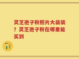 灵芝孢子粉照片大袋装？灵芝孢子粉在哪里能买到