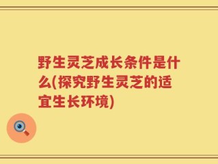 野生灵芝成长条件是什么(探究野生灵芝的适宜生长环境)