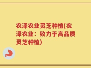 农泽农业灵芝种植(农泽农业：致力于高品质灵芝种植)