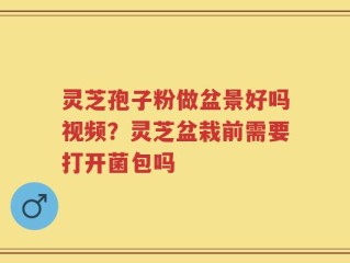 灵芝孢子粉做盆景好吗视频？灵芝盆栽前需要打开菌包吗