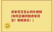 虎掌灵芝怎么切片视频(如何正确切割虎掌灵芝？视频演示！)