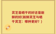 灵芝是晒干的好还是新鲜的好(新鲜灵芝与晒干灵芝：哪种更好？)
