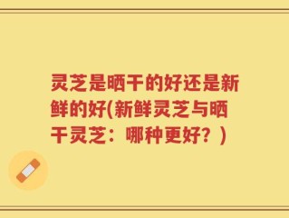 灵芝是晒干的好还是新鲜的好(新鲜灵芝与晒干灵芝：哪种更好？)