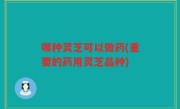 哪种灵芝可以做药(重要的药用灵芝品种)