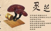 灵芝孢子粉的功效与作用是什么？灵芝孢子粉对失眠管用么？