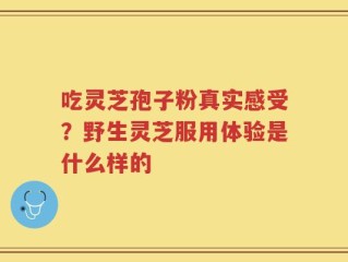 吃灵芝孢子粉真实感受？野生灵芝服用体验是什么样的