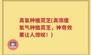 高氧种植灵芝(高浓度氧气种植灵芝，神奇效果让人惊叹！)