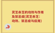 灵芝赤芝的功效与作用及禁忌症(灵芝赤芝：功效、禁忌症与应用)